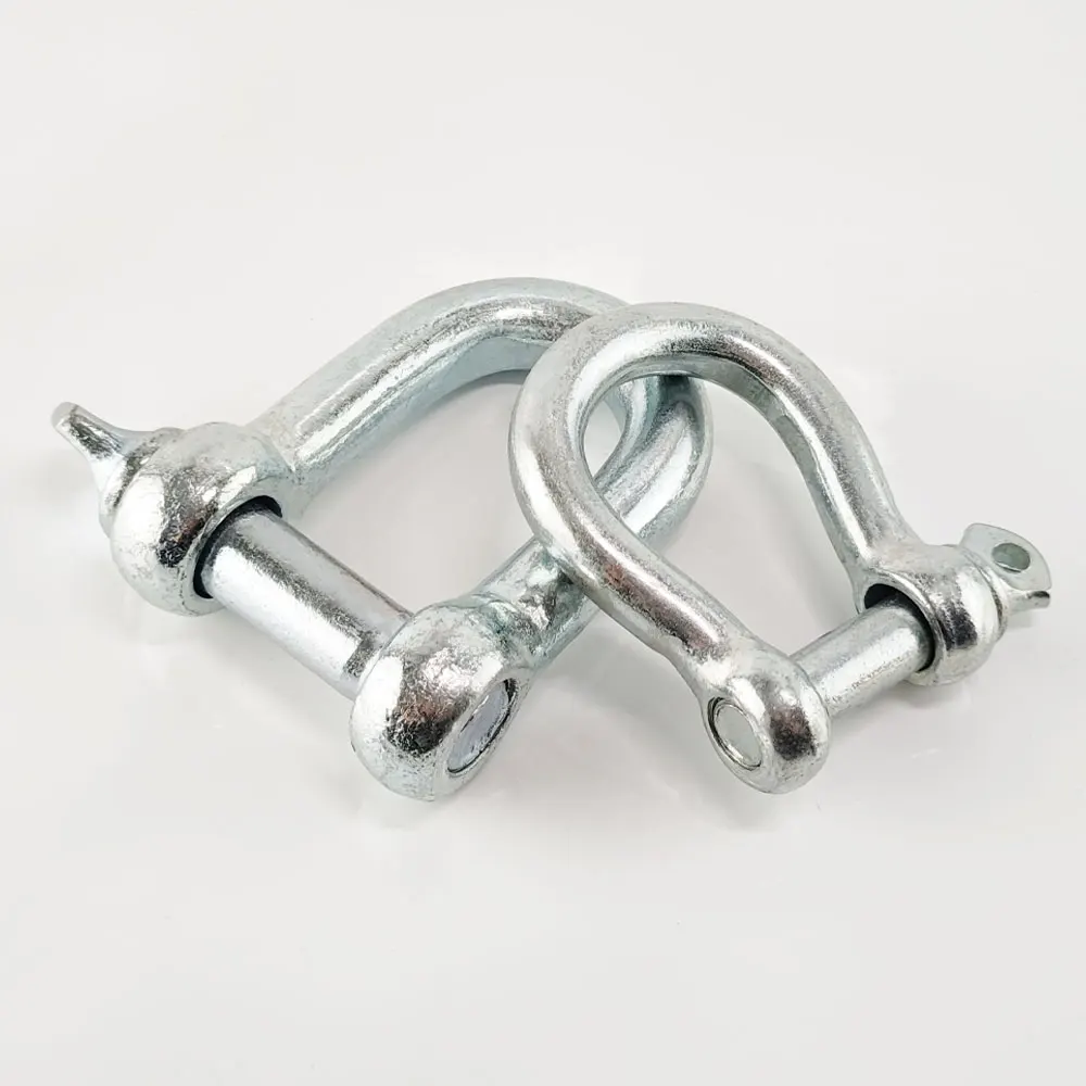 Stainless Steel 304/316 European Type Dee Shackle D Shackle Lifting