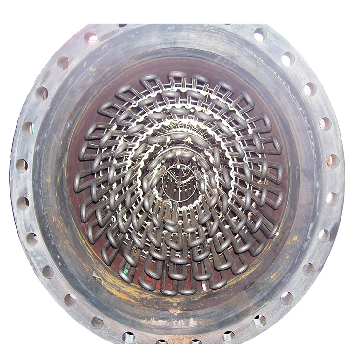 ATEX certificated electric heater immersion