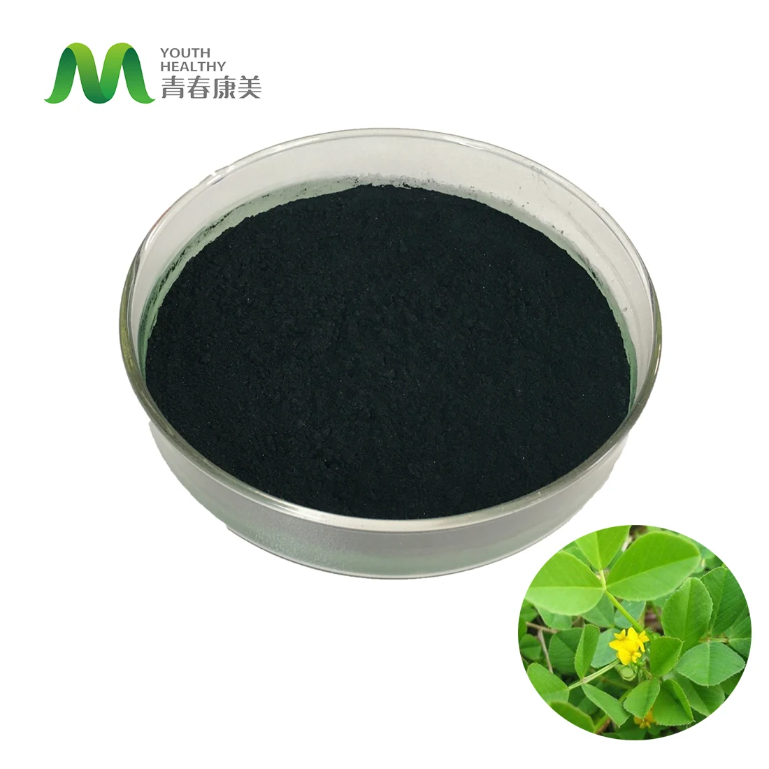 Wholesale Bulk Pure Natural Soluble Chlorophyll Powder Best Price