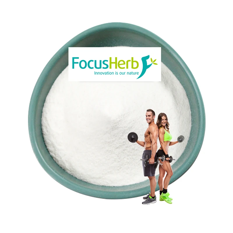 FocusHerb поставка экстракт Cyanotis Arachnoidea порошок 50% 98%