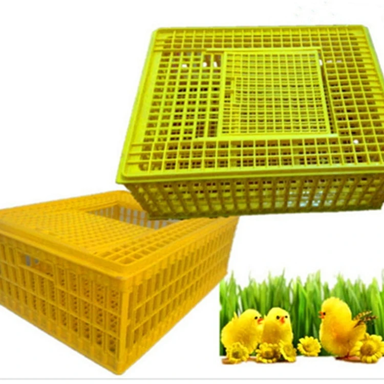 Agrieso Chicken Transport Box Chicken Farm Equipment Plastic Poultry Transport Cage