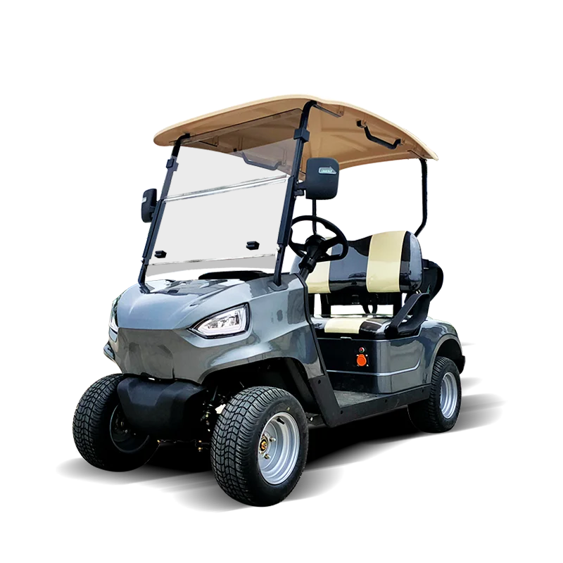 Luxury Electric Tourist Batteries 2 Seats Golf Cart Buggy for the Factory Reception