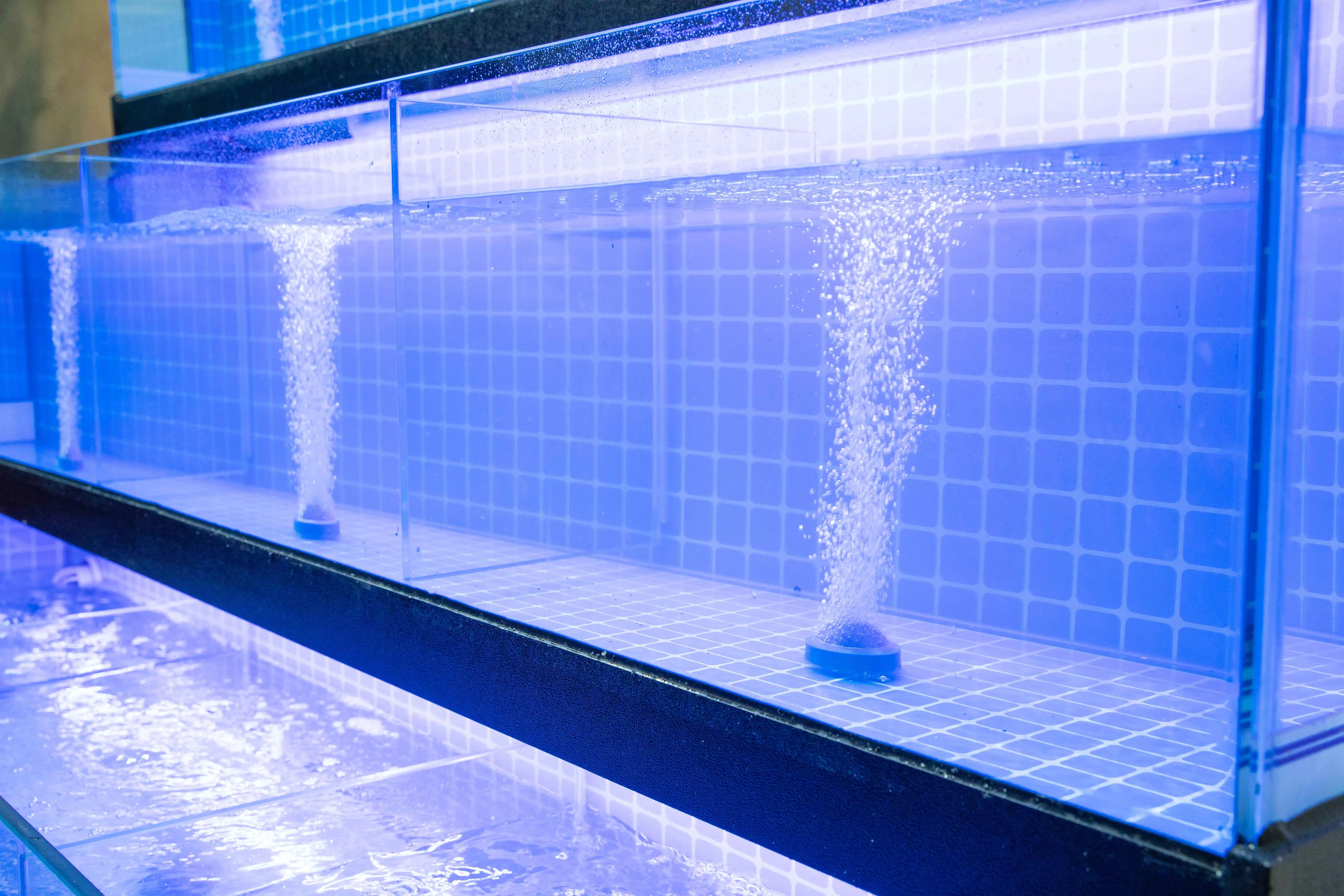 Factory price Supermarket restaurant fish/lobster/shellfish three layers live seafood display tank live aquarium systems