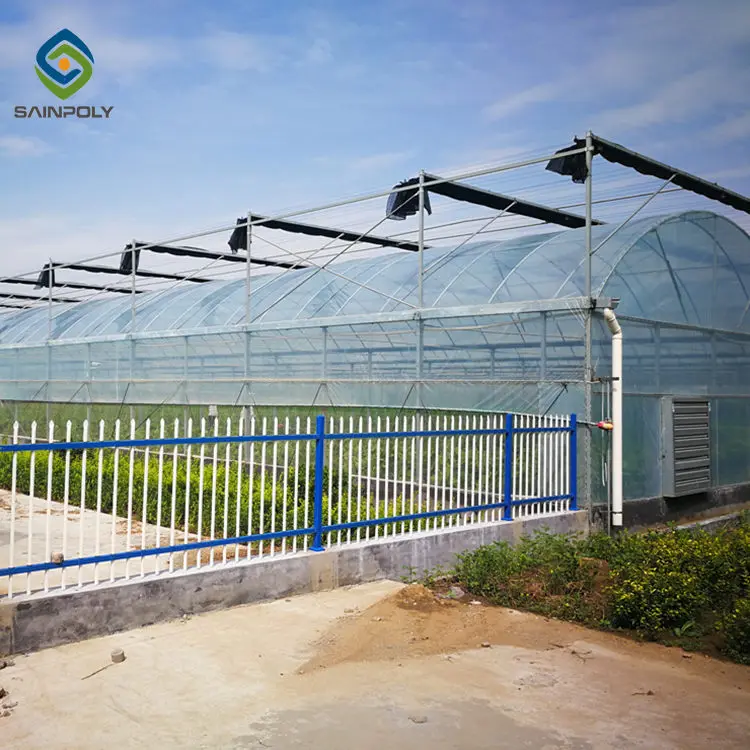 Commercial Hydroponic Plastic Film Green House Multi-span Agricultural Greenhouses