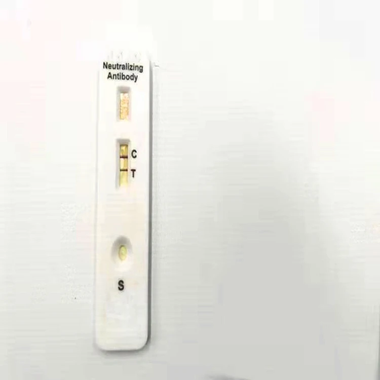 
Igg Igm Whole Blood Serum Plasma One Step Rapid Dengue Test Kit prueba igg igm kit 