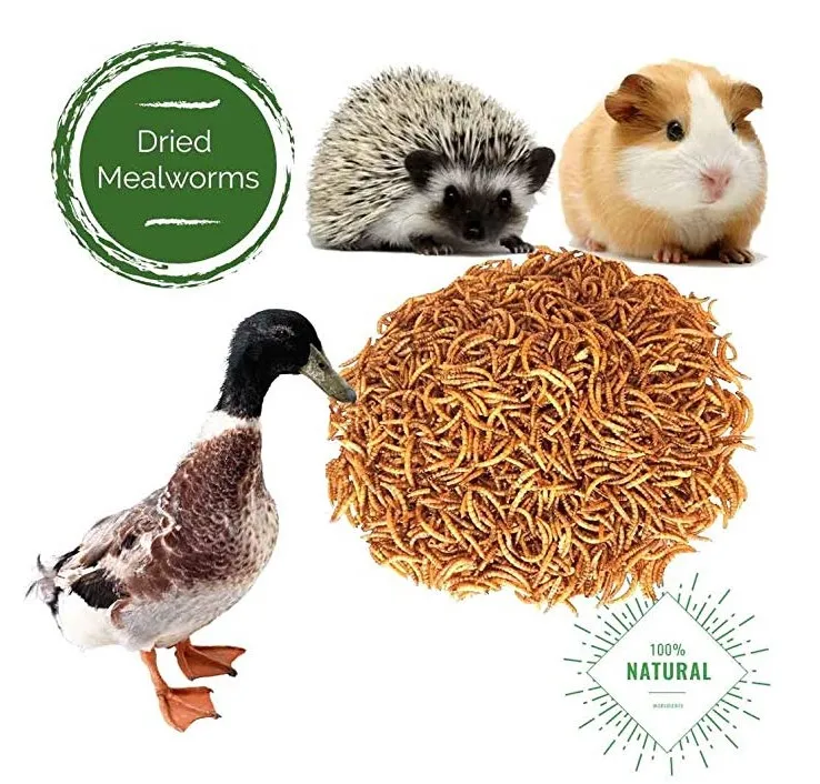  Сохнущий протеин для пищевых продуктов mealworm
