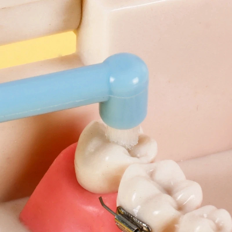 Orthodontic Braces Cleaning Toothbrush Soft Interdental Decayed Tooth Stain Eraser Brush Small Head mono-tuft toothbrushes