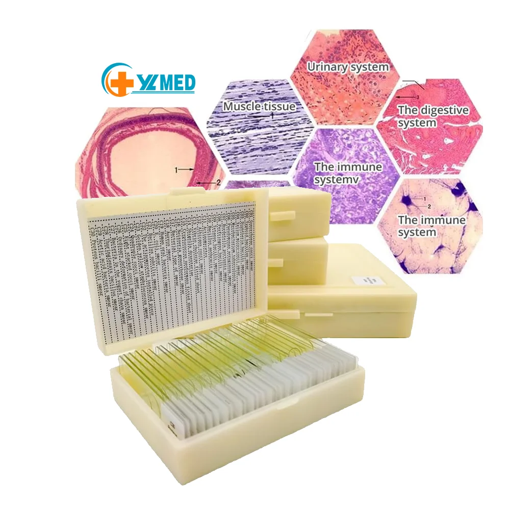 Medical teaching 100 microscope medical parasitology slides for school use