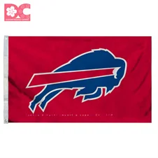 Buffalo Bills 13.jpg