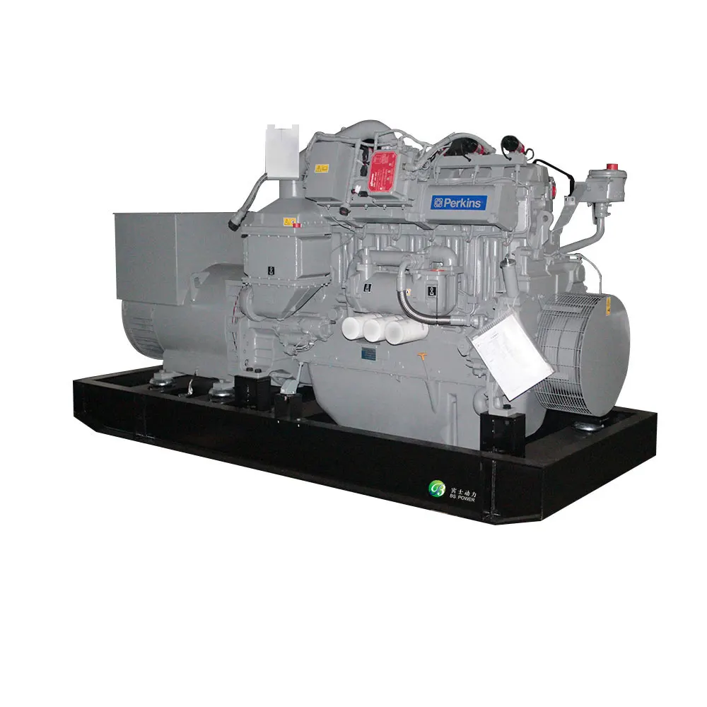 1MW Parallel to 4MW Power Plant Natural/LPG/Biomass Gas Generator Set with