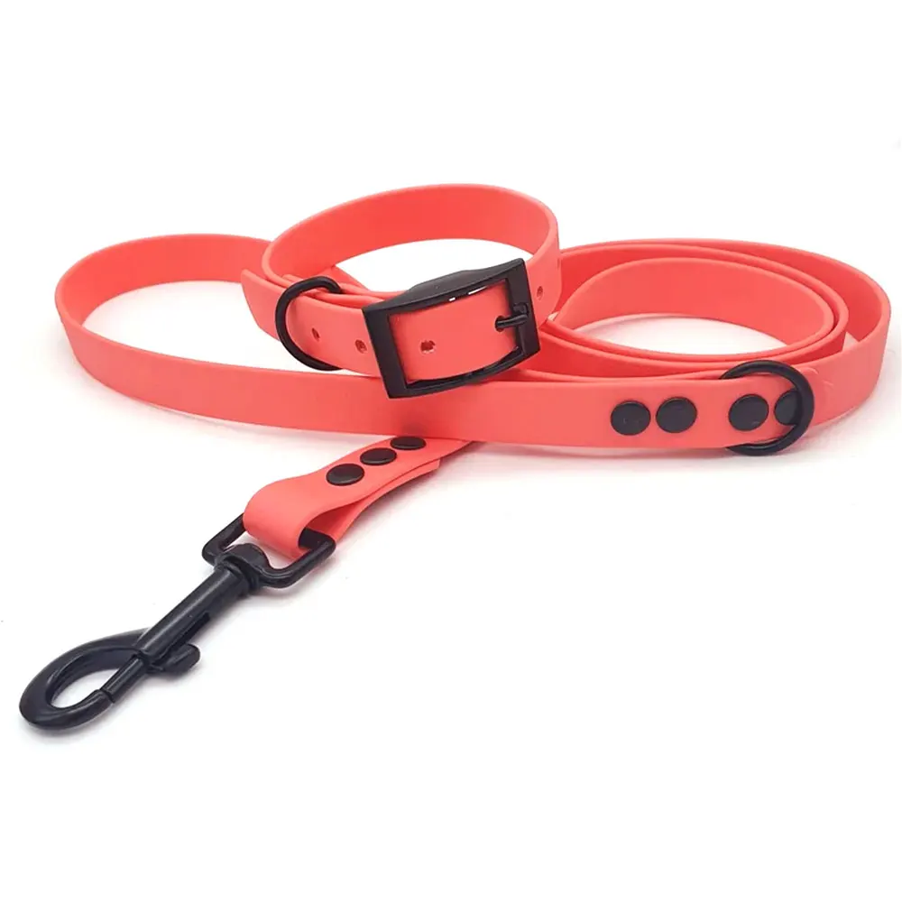 Wholesale Fashion Pet Product Custom Silicone PVC TPU Coated Fancy Waterproof Pet Collar And Leash