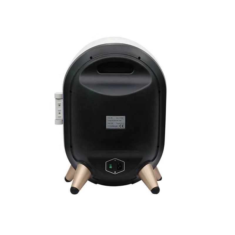 Smart Skin Analyzer Magic Mirror Professional Visia Skin Analysis Machine With Ipad