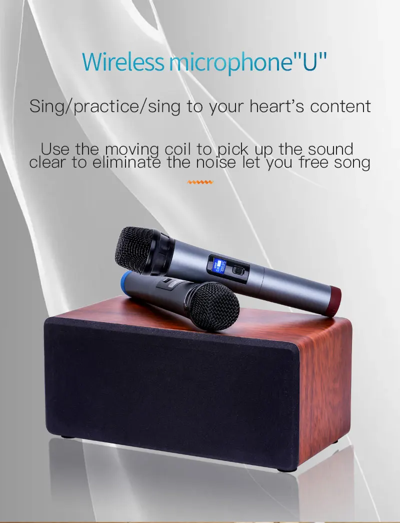 2 In1 microphones Outdoor Portable Family Ktv Stereo Dual Speaker With 2 Wireless Mic Big Sound Audio Karaoke Speaker