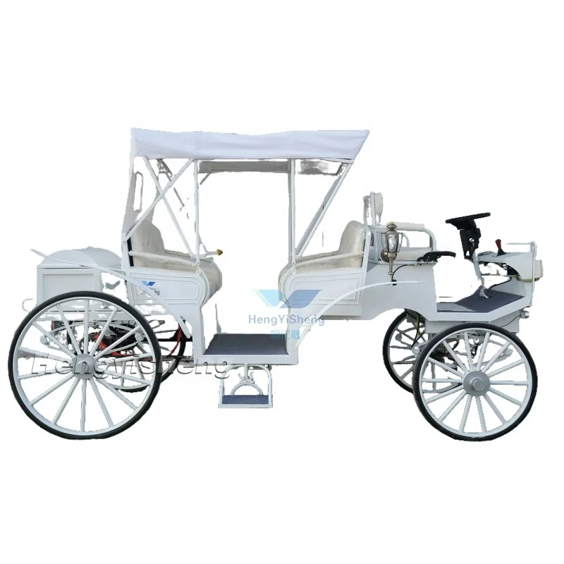 Victoria Sightseeing Tourist Classic Carriage/New Design Brand New Electric Sightseeing Carriage Leather Seat Wedding Carriage