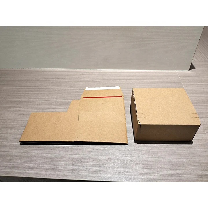 Custom Printing Logo Mailing Box Gift Shipping Box Craft Corrugated Paper Self-Seal Mailing Boxes with Adhesive Strip