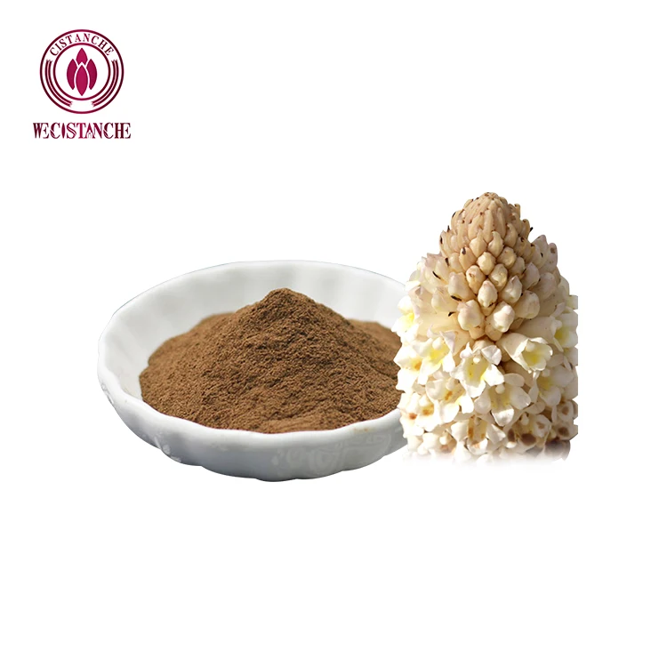 100g Enhance Kidney Supplements 40% Echinacoside Cistanche Tubulosa Powder for Stamina Motivation