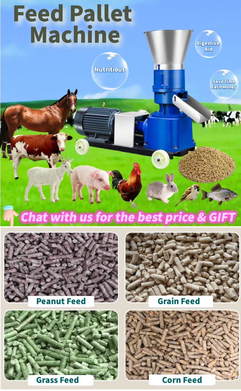 mini peletizador de racao pet besleme makinesi palet pelet yem karma pellet makinasi isleme makineleri makinalar forraje ganado