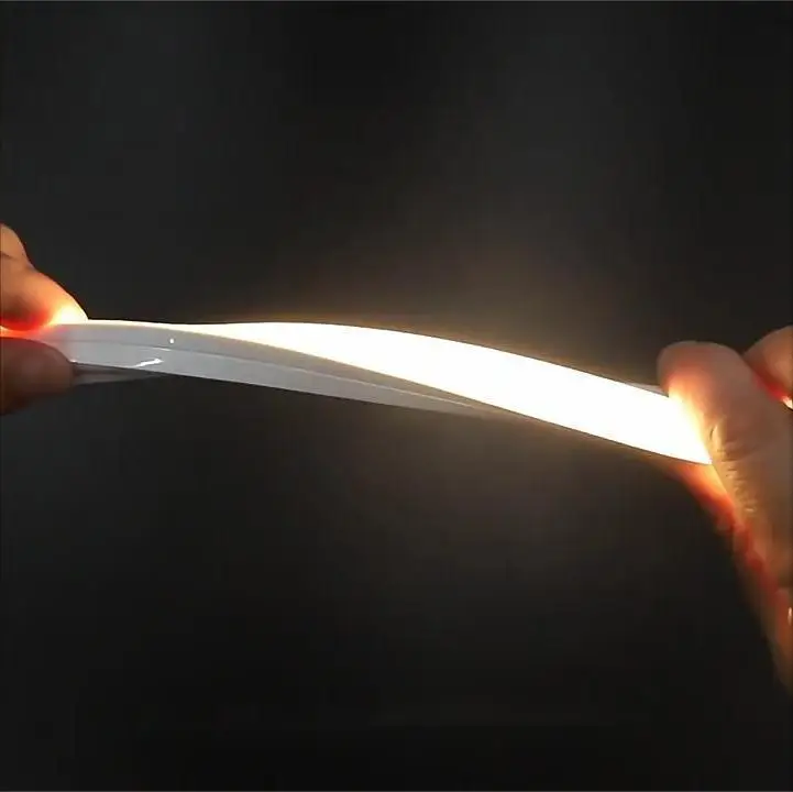 Manufacturer Luces mini 3*6 Led Neon Strip Lights Pc