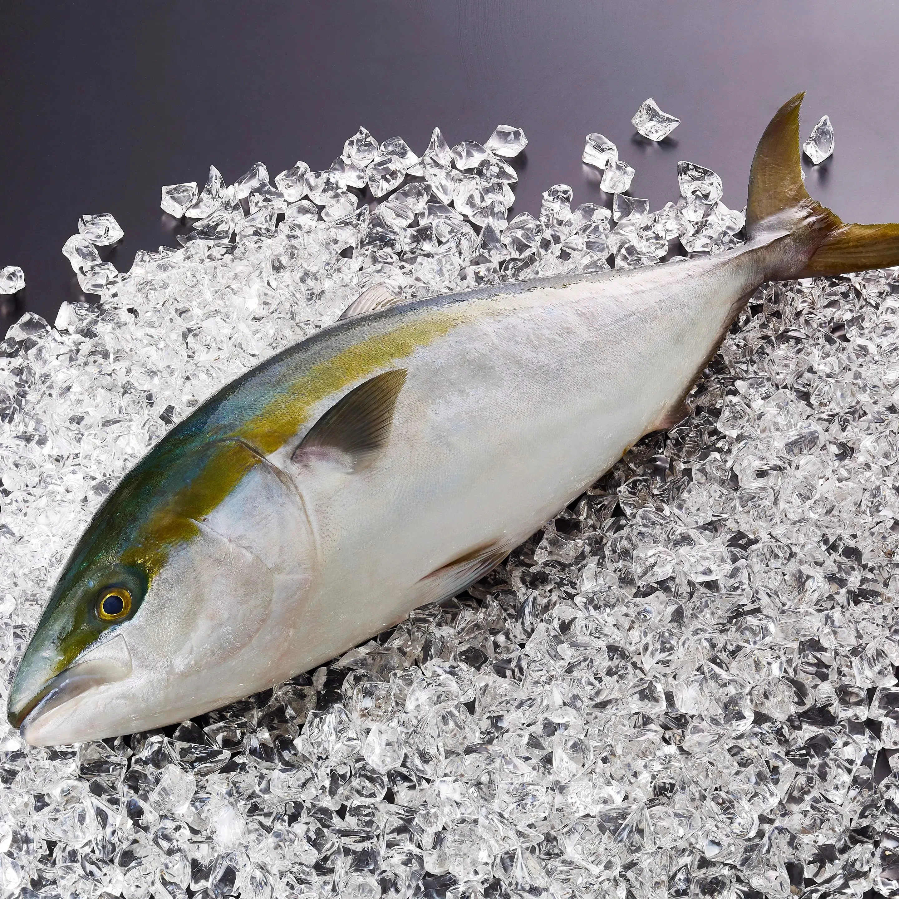 Fresh Yellowtail Japan Seafood