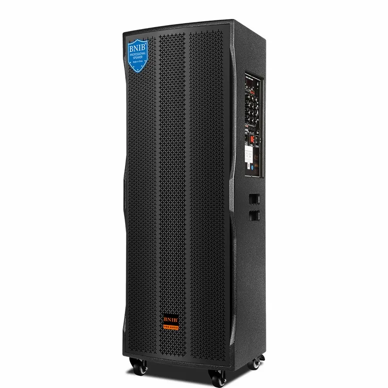 Hot Selling 2022 Wireless Speaker Dj Speaker Karaoke Speaker Wholesale Power Sound System Professional