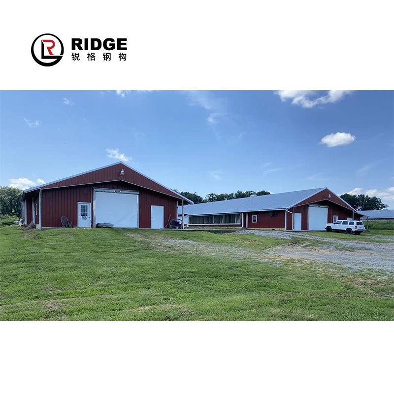 Commercial Steel Frame Broiler Poultry Farm Shed Prefabricated Chicken House Designs For Sale