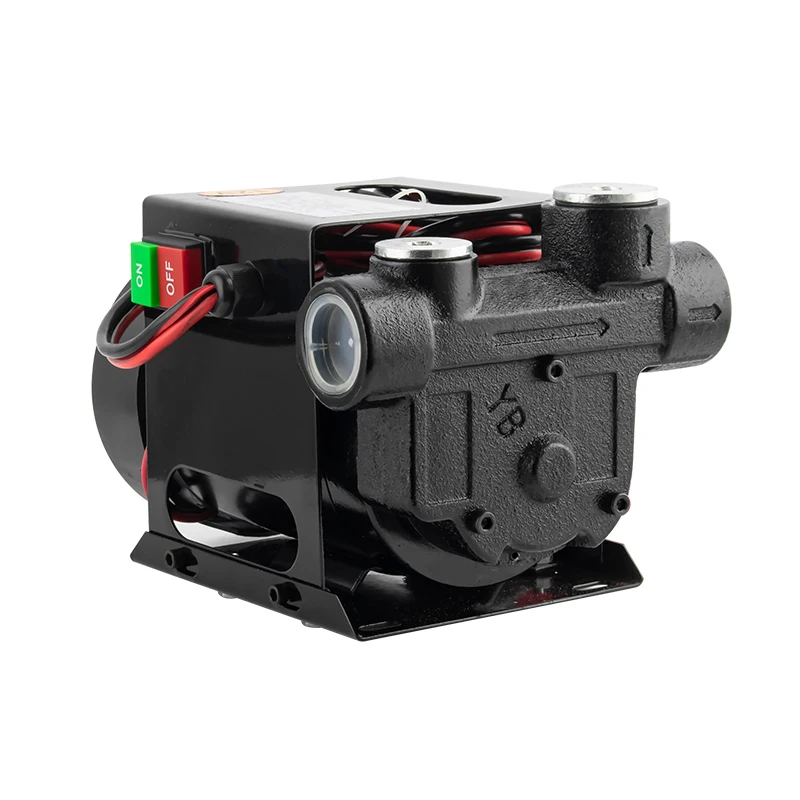 Zheming DC 24 Volt Electromagnetic Electric Portable Diesel Fuel Transfer Car Oil Change Pump