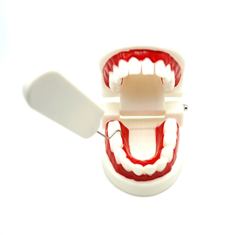 New arrive stainless steel oral care toothpick for carring travel