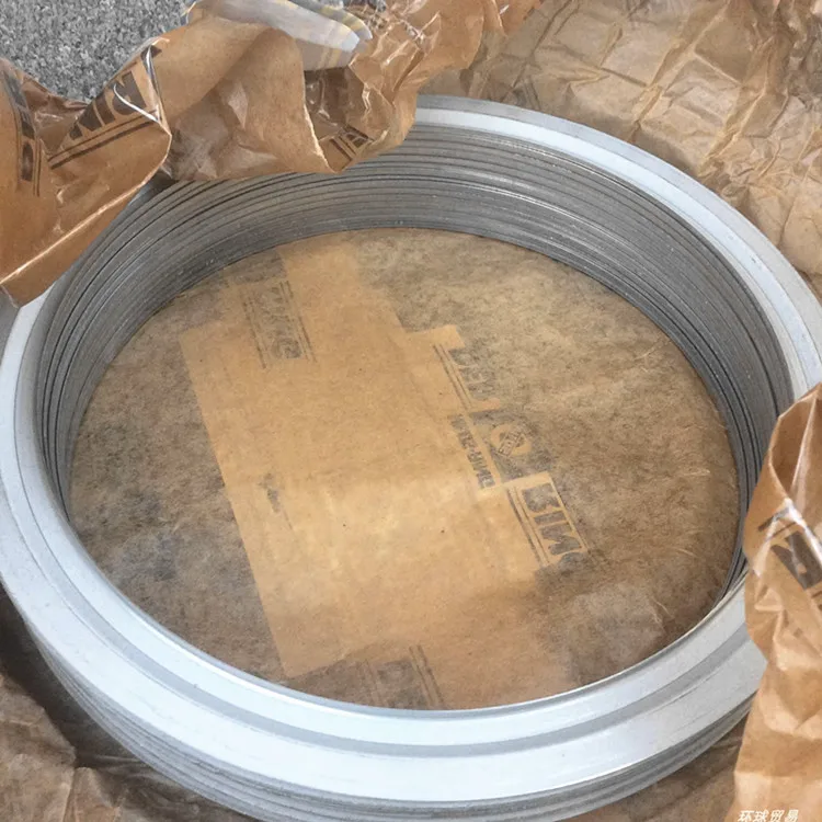 Niros Dust Cover Bearing Sealing Ring Oil Retaining Ring JV Metal Stamping Machine 6005AV 16005AV