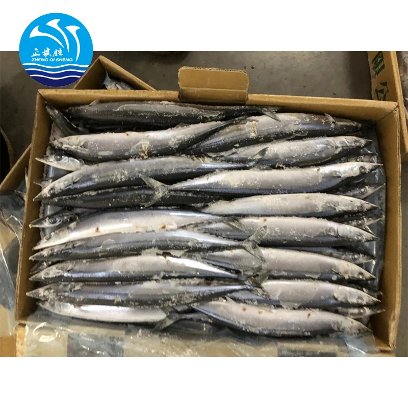 Japanese Frozen Seafood Pacific Saury 100-120g Fish For Export