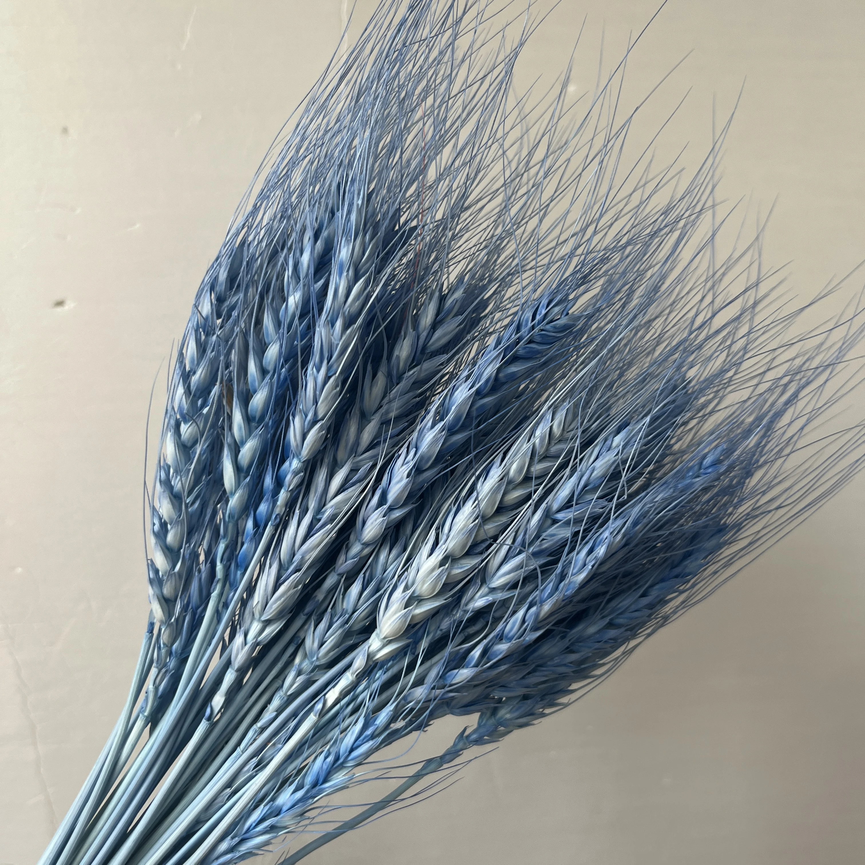 Hot Sale Natural Craft Multi-colored Real Dried Wheat bouquet flowers For Decoration