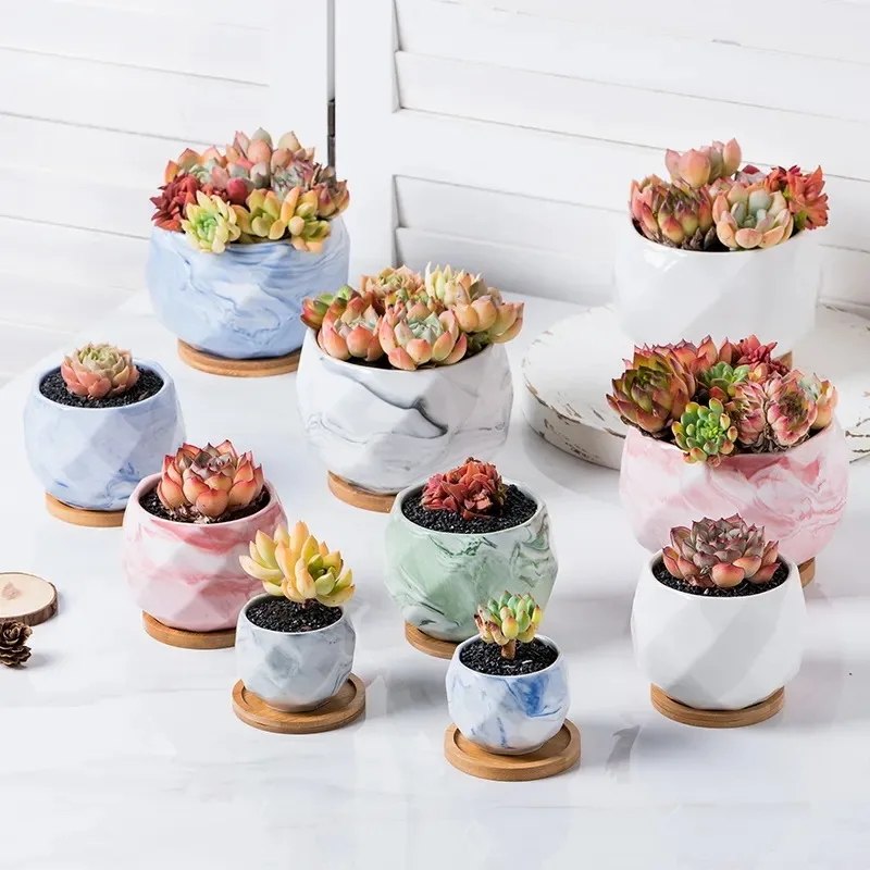 Home & Garden Office Desk Marble and White Ceramic PotSucculent Planter Geometric Flowerpot with Bamboo Trays for Wholesale