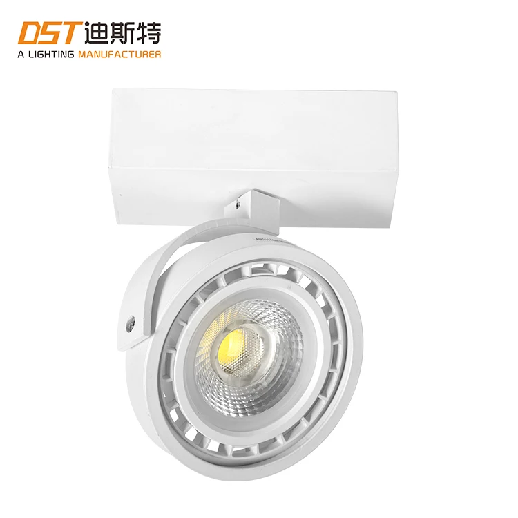 Factory Sale Aluminum Housing Surface Mounted Down Light AR111 Ceiling Spot Light LED Spotlight