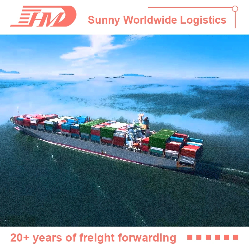 China cheap sea freight international shipping forwarding agent in Shenzhen Guangzhou to USA canada UK Italy Germany France ddp