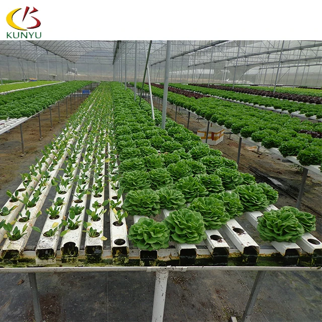 
pvc channel hydroponic nft growing systems for farm growing vegetable with hot dip galvanized frame/ stainless steel frame 