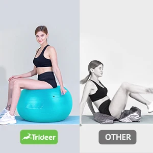 Extra-thick Weighted Anti-Burst and Slip Yoga Ball 55cm For Yoga Pilates