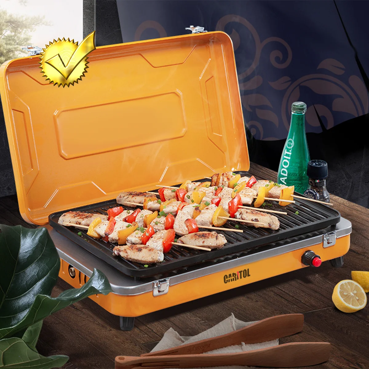 Small Portable Propane Gas Mini Barbecue Bbq Grill