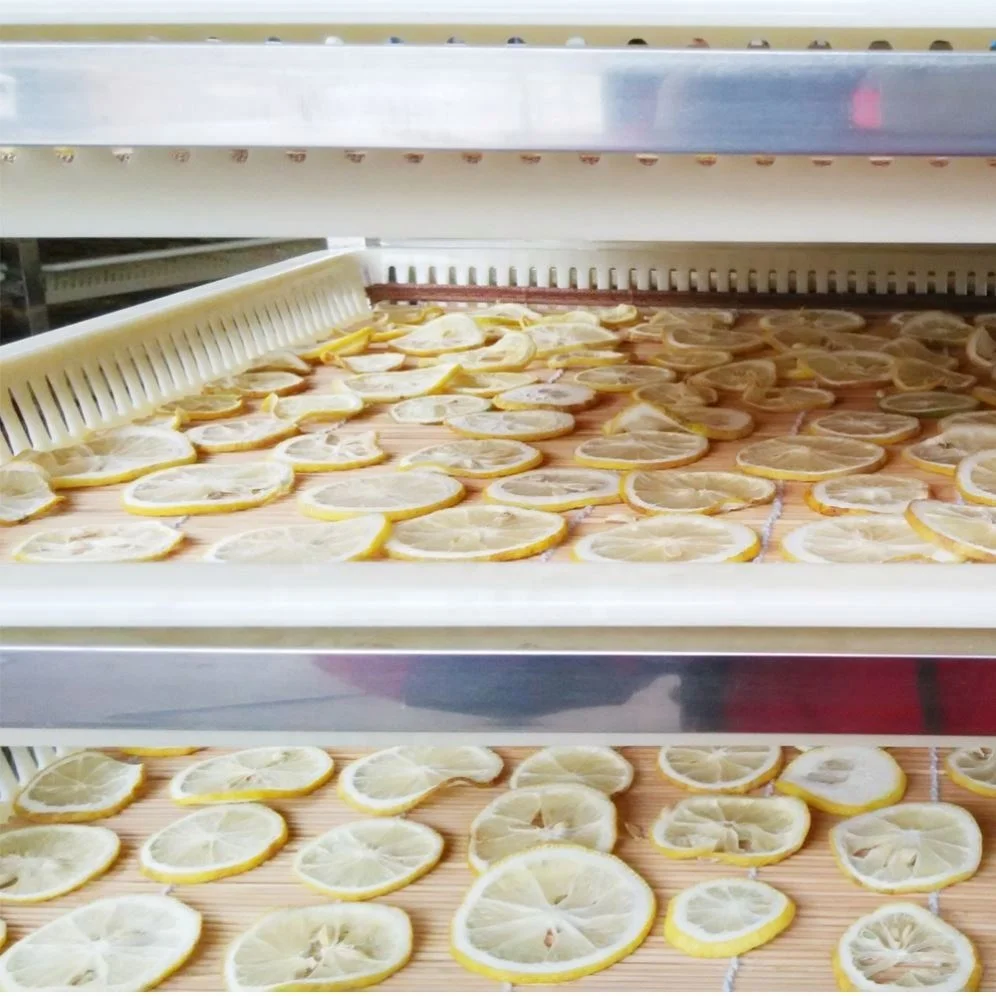 1000Kg Capacity Dried Citrus Fruit Slices Drying Machine Capacity Cirton Lime Lemon Orange Grapefruit Tray Dryer