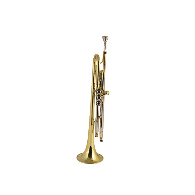 
Brasswind Instruments First choice cheap and high quality Yellow Brass Trumpet in china 