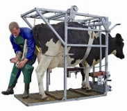 High Quality Farm Equipment Hot DIP Galvanized Epidemic Prevention Hoof Trimming Cattle Equipment Cattle Hoof Trimming