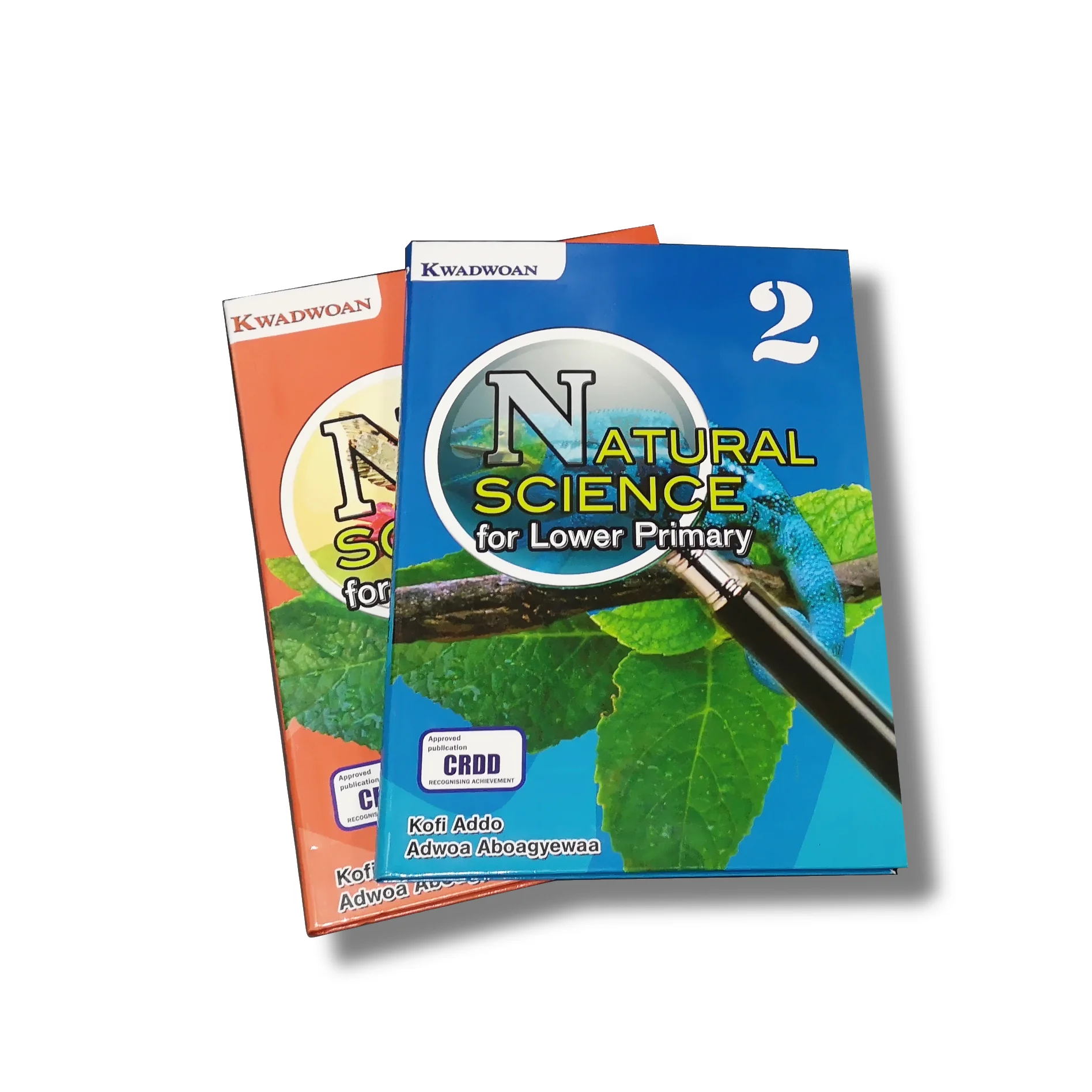 
Book Printing Children Book Flexible Cover Textbook 