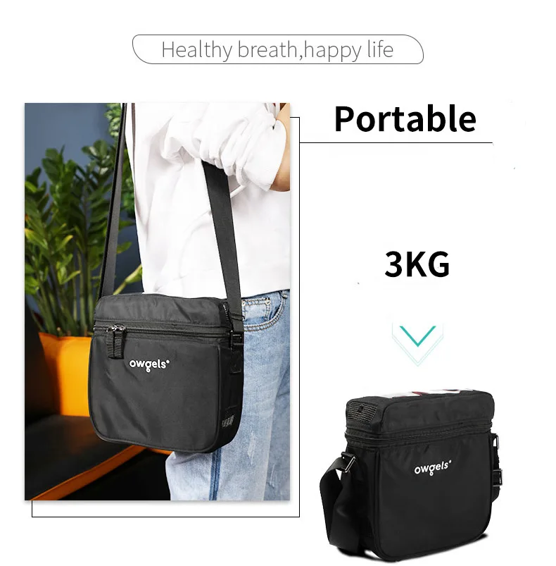 Latest Pulse Dose Portable  2l Flow Meter 5-way Oxygen Concentrator 1l Oxygen Inhalation Concentrator