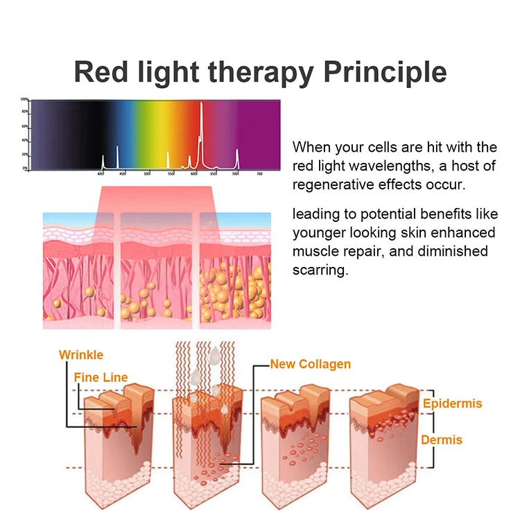 Best Spa Salon 360 Coverage UVA UVB Rays Indoor Capsule Led Collagen Red Light Solarium Sun Red Light Therapy Tanning Bed