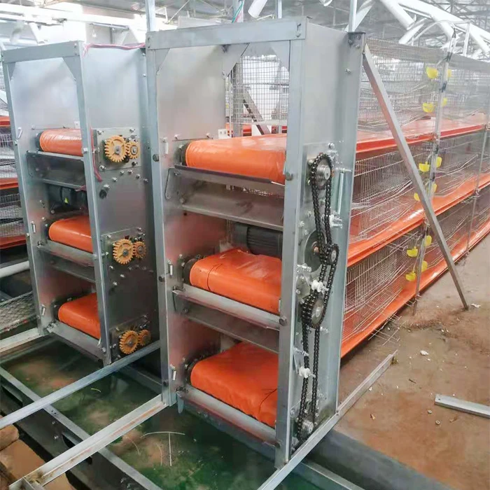 Automatic H type 6 floors quail eggs for egg production layer quail cage for sale