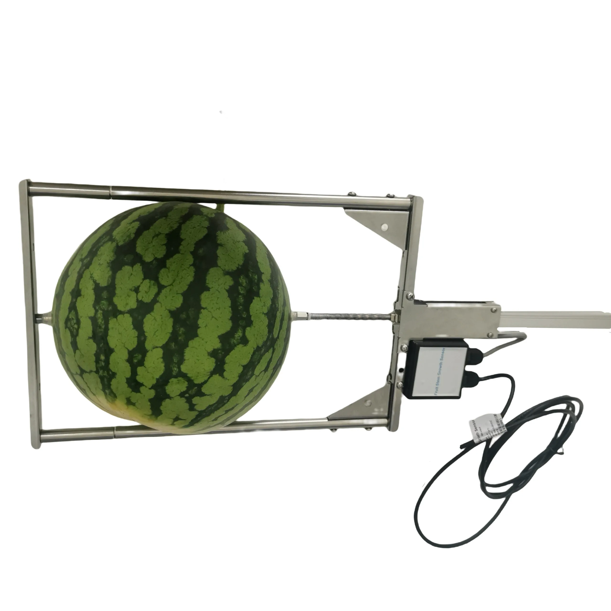 ONLINE MONITORING AGRICULTURE GREENHOUSE FRUIT DIAMETER PLANT STEM GROWTH SWELLING SENSOR