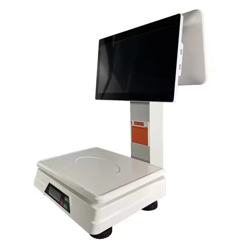 Cheap Price 2+32GB Win-dows7 POS System 15.6+14 Inch Dual Screen Retail All In One Pos Machine with Printer and Scale