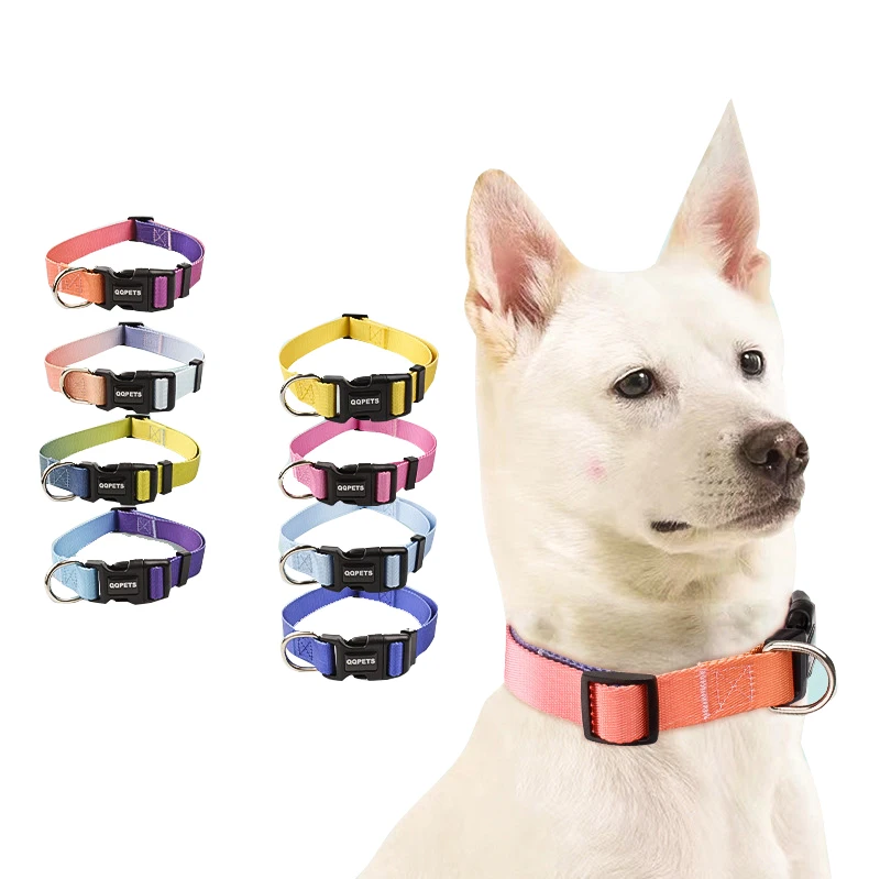 Wholesale Custom Logo Pet Dog Collars Nylon Luxury Printing Sublimation Rainbow Design Gradient Dog Collar 2022