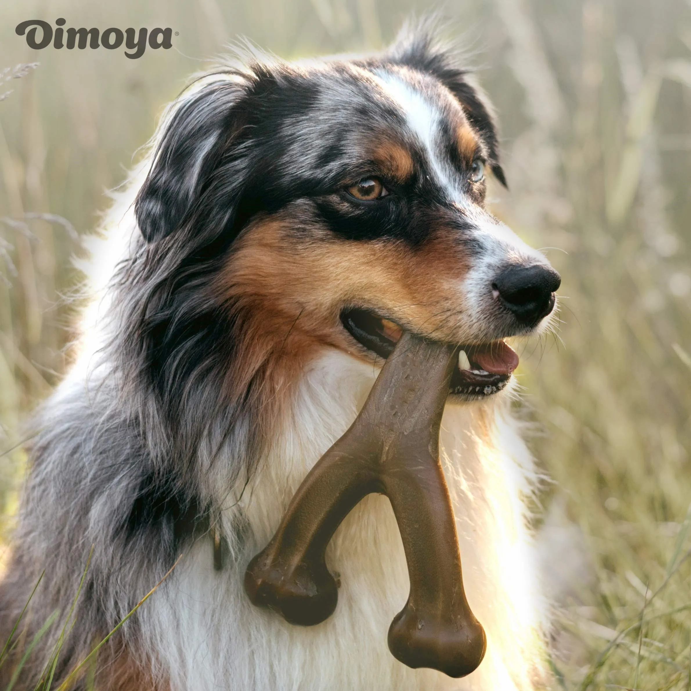 Interactive Medium Durable Dog Chew Toy For Training Aggressive Chewers Interesting Molar Pet Toy