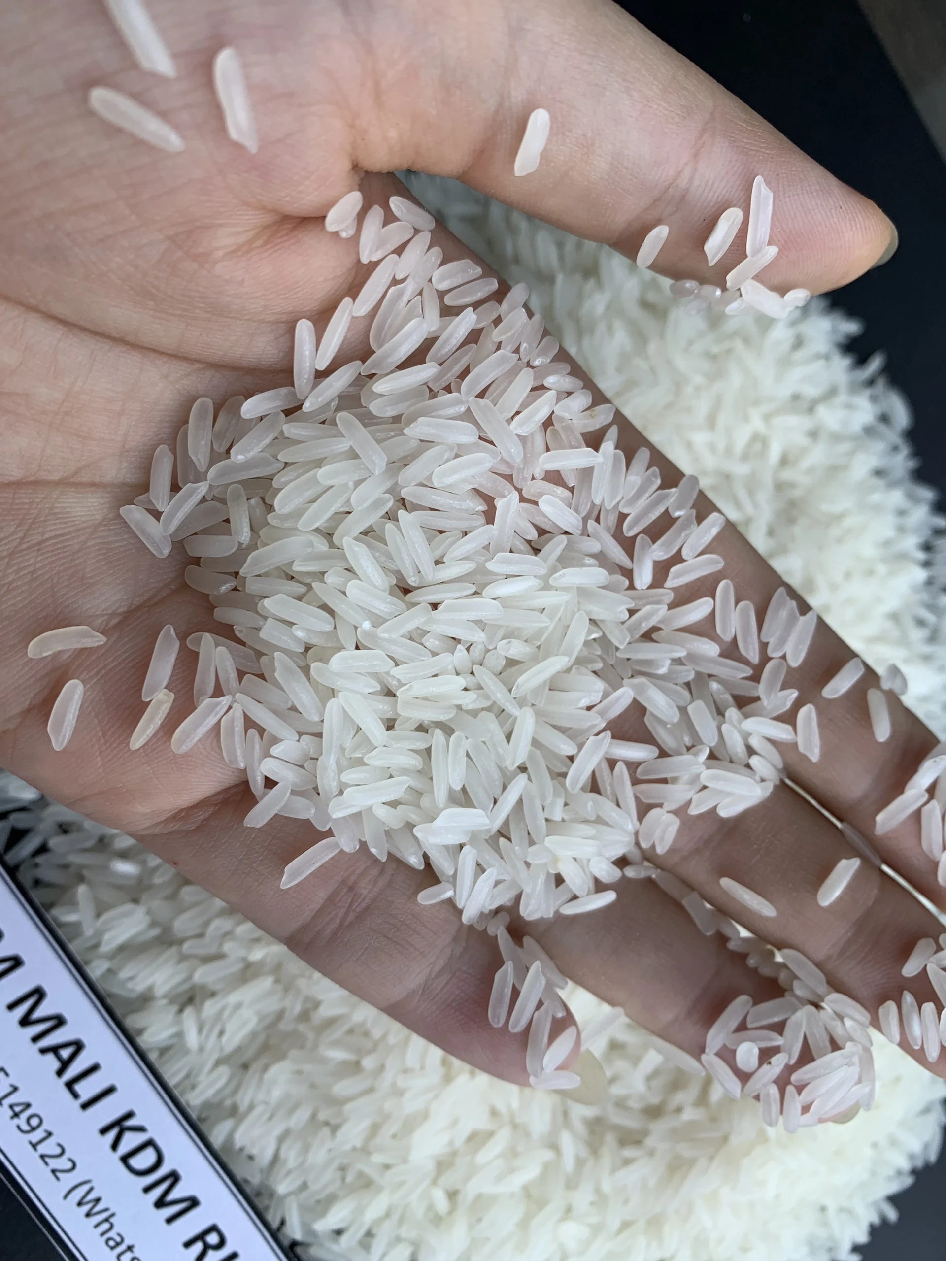 CAMBODIA JASMINE RICE - Whatsapp: +84765149122