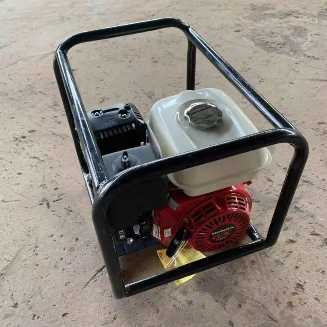 Professional Portable Concrete Vibrator with Gasoline Power 220V Internal Surface Type Engine and Motor Core Components