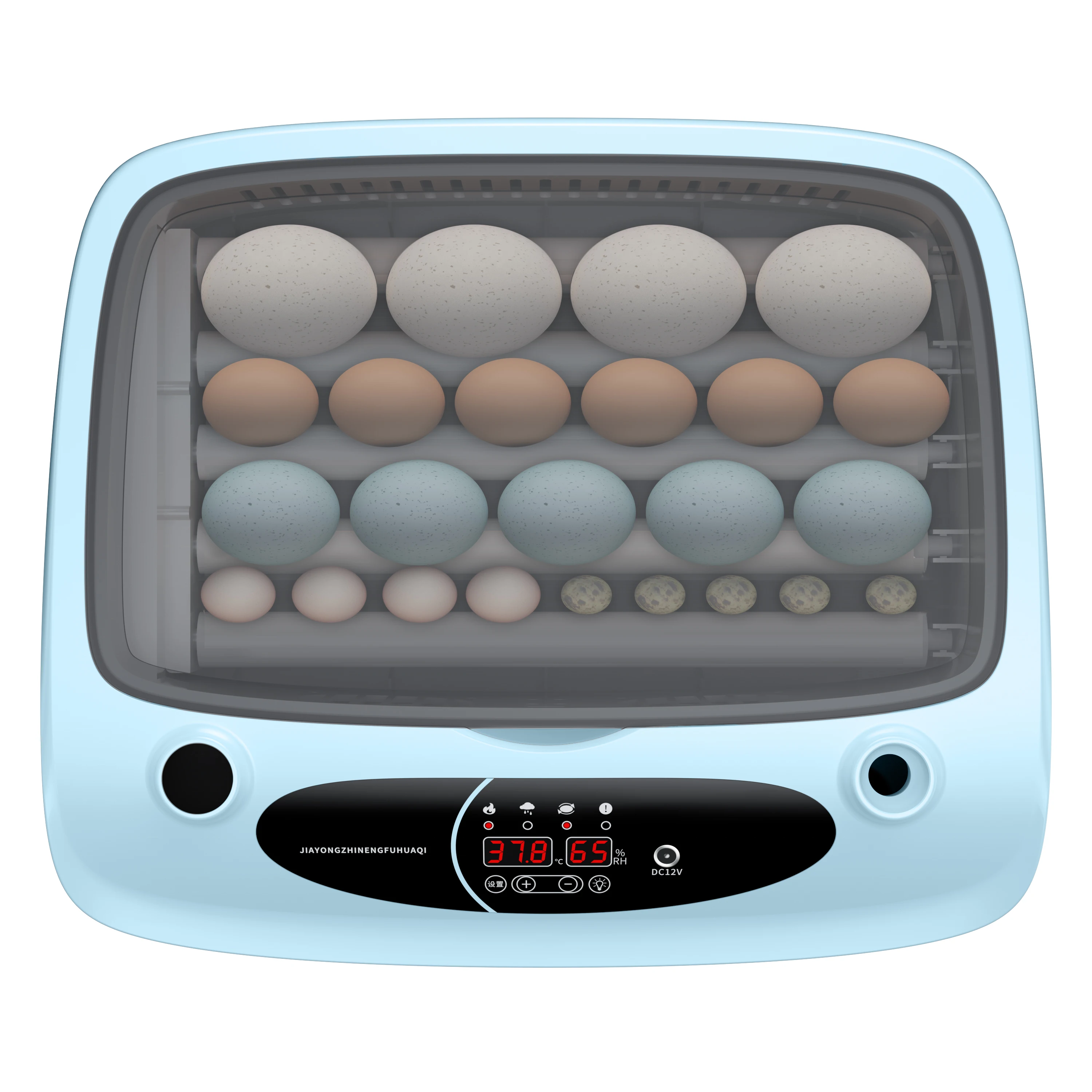 99% Hatching Rate Chicken Eggs Automatic Incubator Egg Incubators Incubadoras De Huevos Incubateur Couveuse Oeuf Egg Incubators